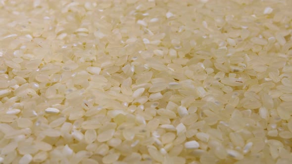 Grains of Raw Rice Rotate Close-up