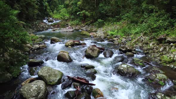 Rapids in Rainforest Creek