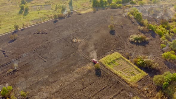 Burnt field in summer