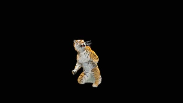 72 Tiger Standing Magic Attack HD