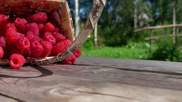 Baskets Full of Large Appetizing Raspberries Is Falling on the Wooden Table
