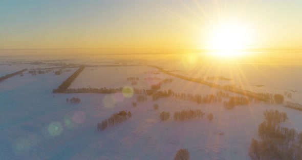 Aerial Drone View of Cold Winter Landscape with Arctic Field, Trees Covered with Frost Snow and