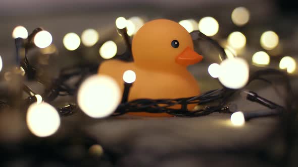 Closeup Shot of Rubber Duck on Background of Christmas Garland on a Playd