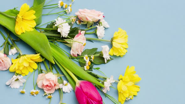 Young Spring Multicolored Bouquet of Beautiful Flowers Lie on a Pastel Blue Background