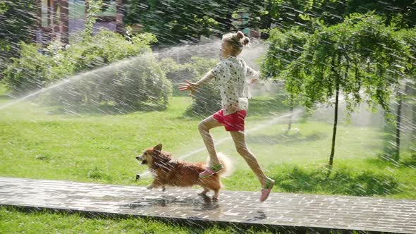 Child Girl Playing With The Dog At The Park 2