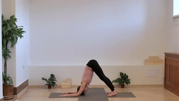 The Girl in the Yoga Room Does a Dog Pose Reinforcement Face Down, To Study the Shoulder Joints.