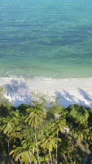 Vertical Video of the Ocean Near the Coast of Zanzibar Tanzania