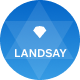 Preview icon
