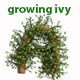 Growing Tree With Wind Blow Alphabet - VideoHive Item for Sale