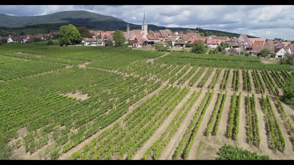 Mittelbergheim Alsace France Town Surrounded By Vineyards in Summer
