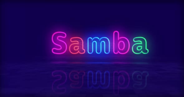 Samba neon symbol 3d flight between
