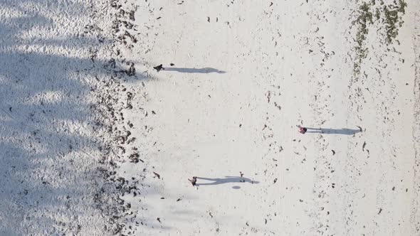 Vertical Video People Play Football on the Beach in Zanzibar Tanzania Aerial View