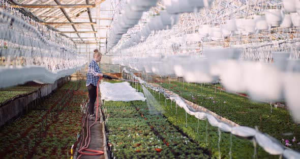 Agriculture Business - Smiling Gardener Working with Flowers in Greenhouse