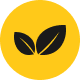 Preview icon