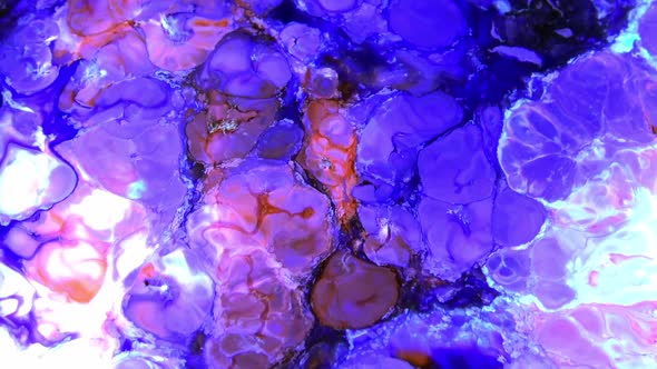 Color Explosion Abstract Art Painting 453 alt