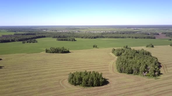 Dense Green Groves Among Boundless Fields and Small Town