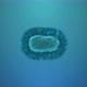 Cell Division or Cell Cloning - VideoHive Item for Sale
