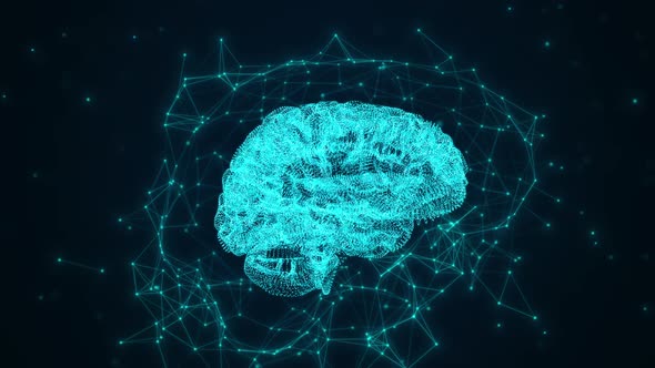 Human brain and plexus structure revolving with skull scan and digits orbiting around. alt