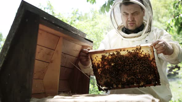 Uhd Beekeeper in a protective suit works with honeycombs.