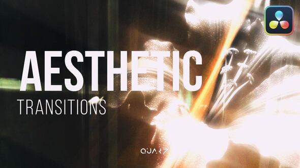 Aesthetic Transitions for DaVinci Resolve
