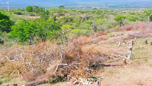 Deforestation area at San Juan De La Maguana in Dominican Republic. Aerial panoramic view