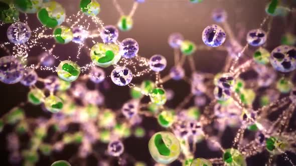 Cell and bacteria interactions 3d medical