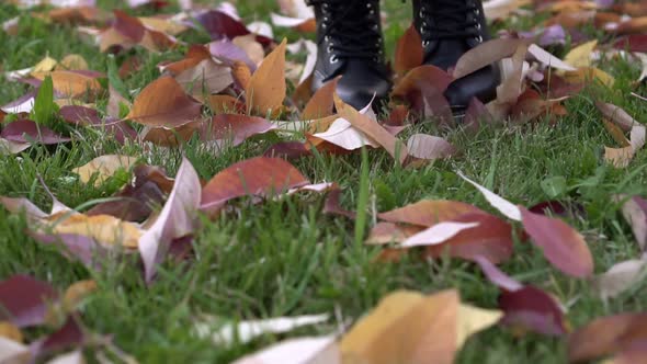 Autumn Women's Legs in Black Boots are Walking on Fallen Leaves