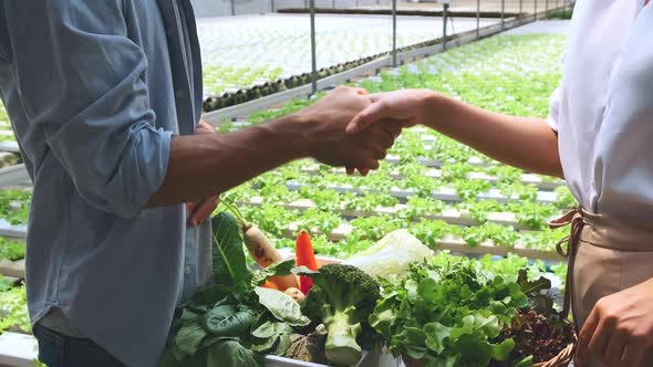 successful agreement contract business hydroponic green farm