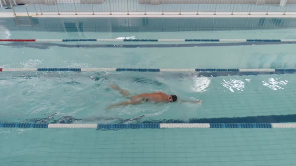 Young Athletic Man Swimmer Swims in the Pool Man Swimming and Training in the Water View From a