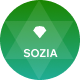 Preview icon