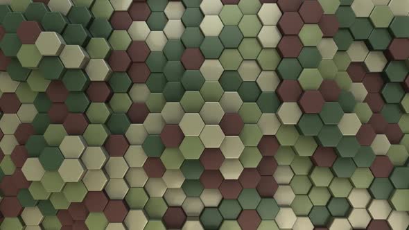 Hexagon Background Camouflage