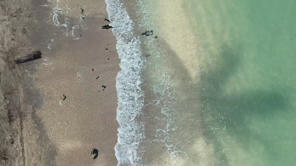 Shadow of a palm tree on the white sand beach and crystal clear sea water. Tropical holidays concept