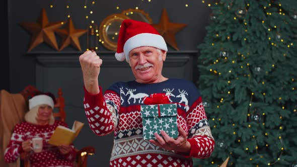 Mature Grandfather in Christmas Sweater Celebrate Success Win Scream Doing Winner Hands Gesture