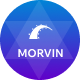 Preview icon