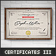 Multipurpose Certificates III - GraphicRiver Item for Sale