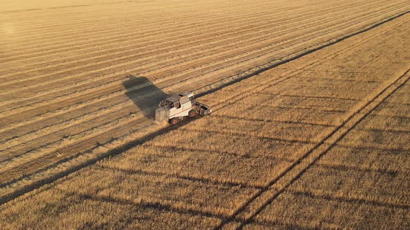 Combine harvester wheat agriculture