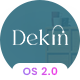 Preview icon