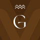 Preview icon