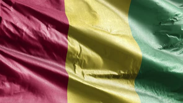 Guinea textile flag waving on the wind loop. Slow motion. 20 seconds loop.
