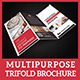 Multipurpose Trifold Brochure - GraphicRiver Item for Sale