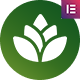 Preview icon