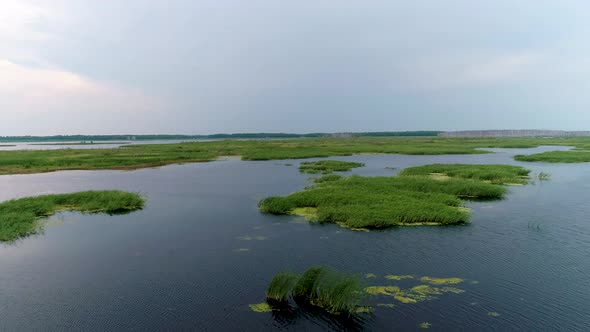 Aerial View Of Summer Landscape