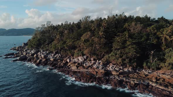 Jungle forest coastline, blue ocean.