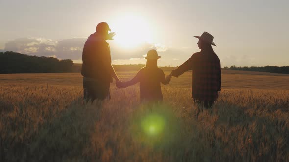 Silhouette Family Farmers Working in a Wheat Field at Sunset, Young Parents with Their Daughter 