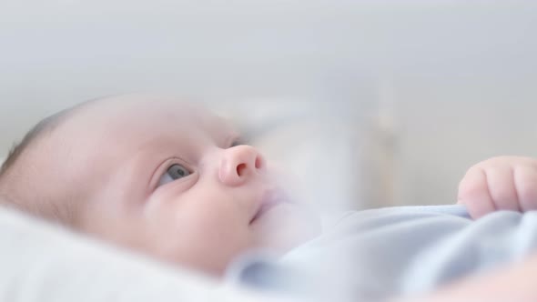 Portrait Newborn Baby Boy Lying in Nursery Cocoon with Blue Clothes on Bed in Bedroom at Home Happy