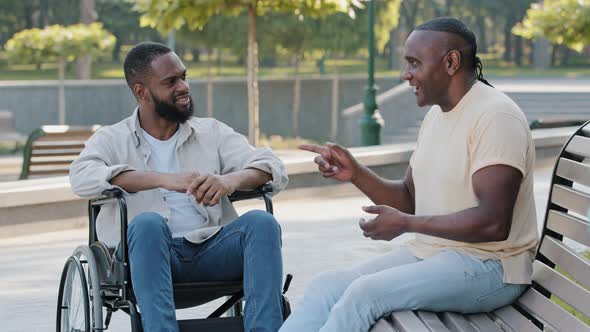 Young Bearded Black Disabled Guy in Wheelchair Emotionally Gesturing Discussing Business with Senior