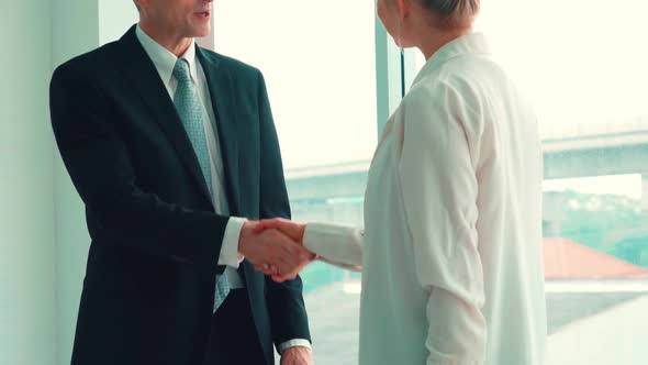 Business People Handshake in Corporate Office