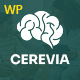 Preview icon