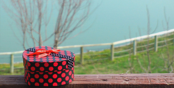 Gift Box and Lake