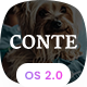 Preview icon